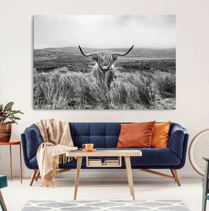 A black and white portrait of a Highland cow in a foggy Scottish countryside, capturing a rustic aesthetic and tranquil farm escape.