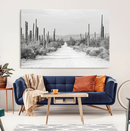 A black and white desert road stretching through a cactus-filled landscape, creating a rugged and timeless southwestern aesthetic with a sense of adventure.
