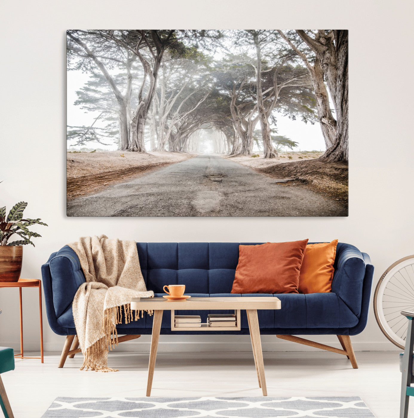 Canvas of a misty tree tunnel with arching cypress trees and an earthy road, ideal for rustic or coastal nature decor.