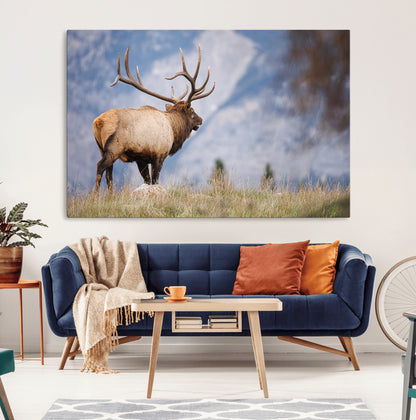 Elk with antlers standing on grass with mountain background, ideal for rustic, cabin, or lodge-inspired wall decor.