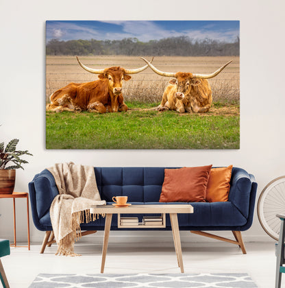 Two longhorn cows lying on green grass in front of a golden field and trees under a blue sky, perfect for rustic country wall decor.
