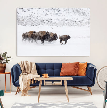 Bison herd running through a snowy open field with mountain backdrop, perfect for rustic or western-themed wall decoration.