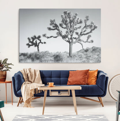 Black and white Joshua tree in a desert landscape with soft light and dry brush, perfect for rustic or minimalist home decor.