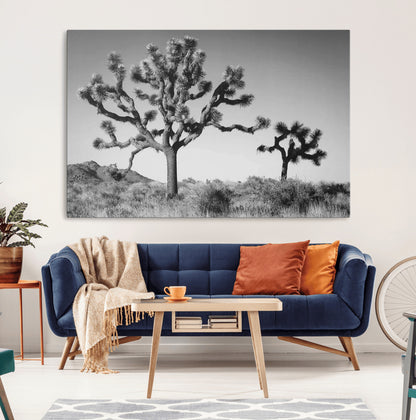 Black and white Joshua trees in a rugged desert landscape, creating a calm and minimalist feel for natural or rustic-themed interiors.