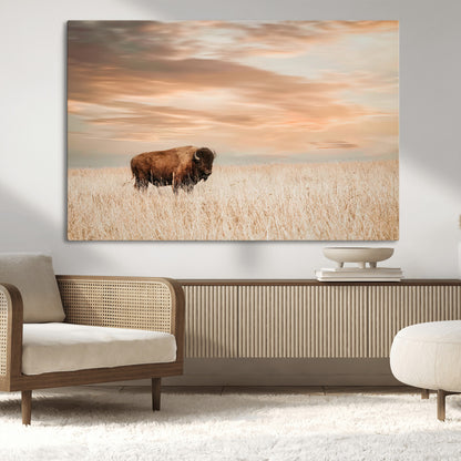Bison Wall Art Print - Buffalo Canvas Print, featuring a lone bison in a golden prairie under a warm sunset sky, perfect for rustic and farmhouse decor.