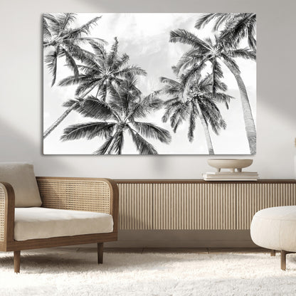 Black and white tropical palm trees viewed from below, swaying gently against a bright sky, creating a serene and elegant coastal atmosphere.