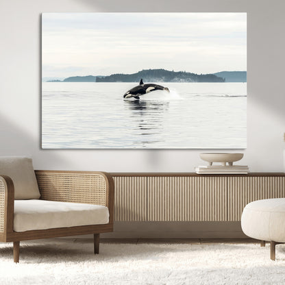An orca jumping out of calm ocean waters with a misty island in the background, creating a serene and minimalist marine wildlife scene.