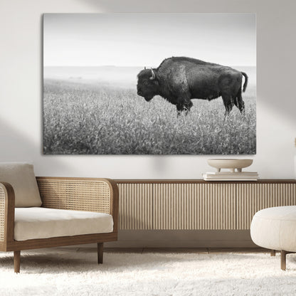 A black and white photograph of a majestic bison standing in a vast grassy prairie, evoking a sense of wilderness and strength.