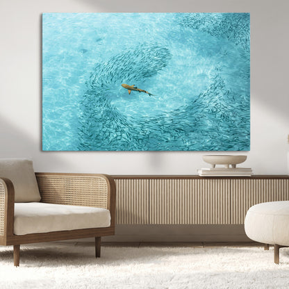 Aerial view of a shark swimming through a swirl of fish in clear turquoise waters, perfect for calm coastal or beach house decor.