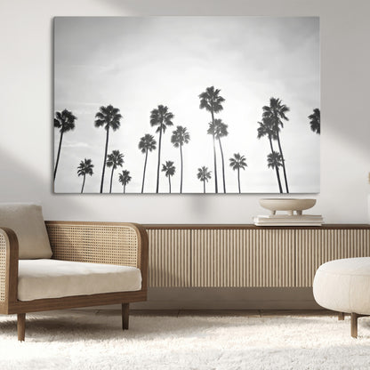 A black and white minimalist scene featuring tall palm trees silhouetted against a bright sky, creating a dreamy and timeless tropical aesthetic.