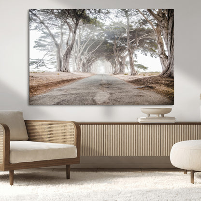 Canvas of a misty tree tunnel with arching cypress trees and an earthy road, ideal for rustic or coastal nature decor.