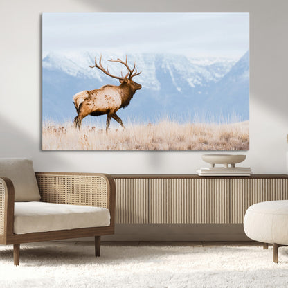 An elk walking on snowy grassland with majestic mountains in the background, ideal for rustic lodge or cabin wall decor.