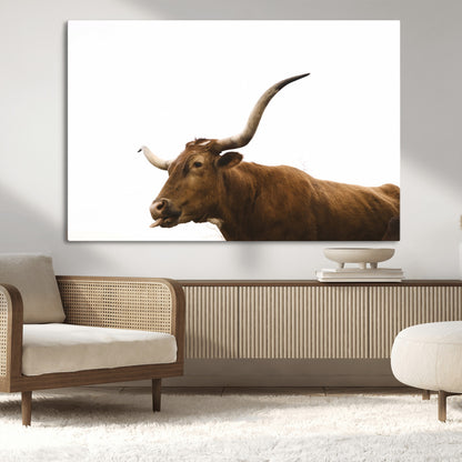 Minimal photo of a longhorn cow with white background, ideal for rustic, western or farmhouse-style interior decor.