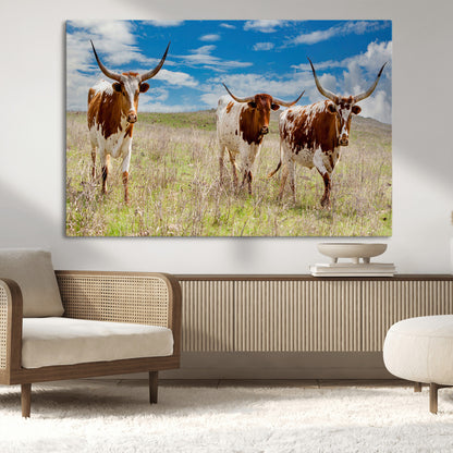 Three Texas longhorn cattle standing in dry grass under a bright blue sky, ideal for farmhouse or western rustic home decor.