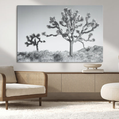 Black and white Joshua tree in a desert landscape with soft light and dry brush, perfect for rustic or minimalist home decor.