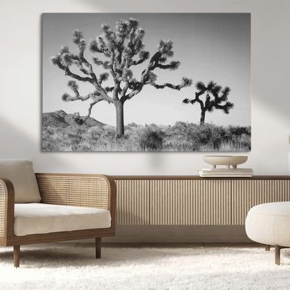 Black and white Joshua trees in a rugged desert landscape, creating a calm and minimalist feel for natural or rustic-themed interiors.