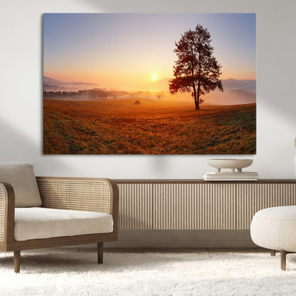 A tranquil landscape at sunrise with a mist-covered field and a lone tree, creating a peaceful and natural atmosphere.