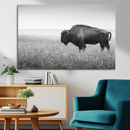 A black and white photograph of a majestic bison standing in a vast grassy prairie, evoking a sense of wilderness and strength.