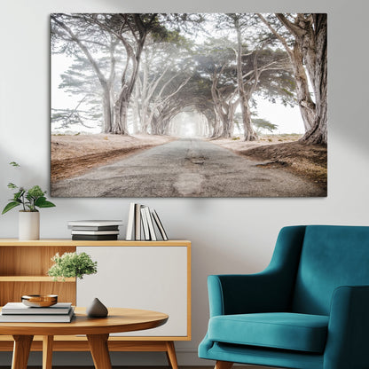 Canvas of a misty tree tunnel with arching cypress trees and an earthy road, ideal for rustic or coastal nature decor.