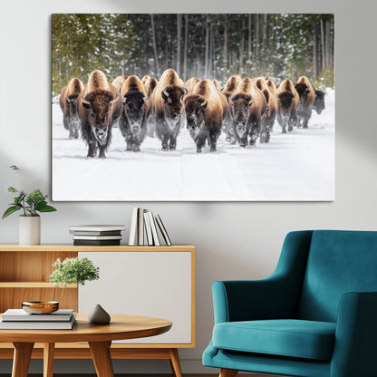 A herd of American bisons walking through a snowy forest path, perfect for rustic cabin or Western-themed wall decor.