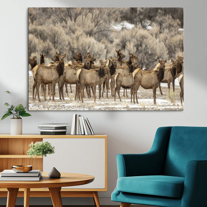 A large herd of elk standing in an open field with soft earthy tones, ideal for rustic lodge or western-themed home wall decor.