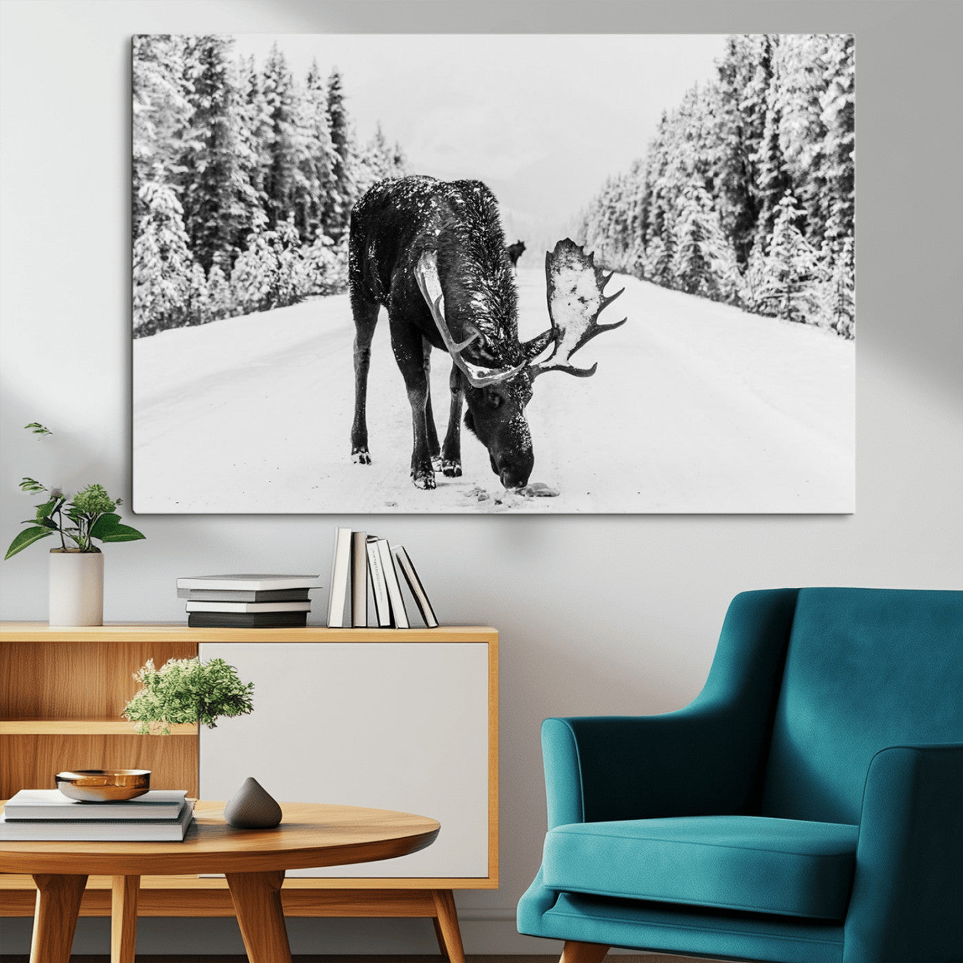 A majestic moose grazing in the snow-covered wilderness, surrounded by snow-covered trees, creating a peaceful winter scene.