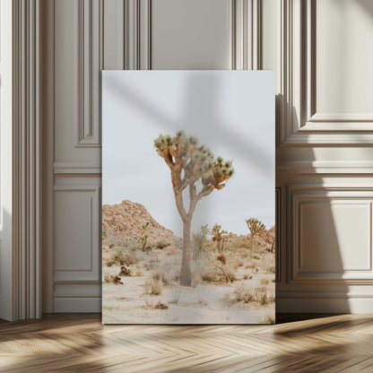 Canvas of a Joshua Tree in neutral desert tones under soft light, ideal for southwestern minimalist or rustic nature-inspired home decor.