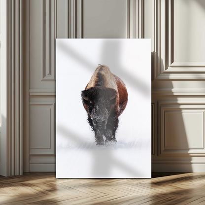 Front view of a strong bison walking in deep snow, isolated white background, perfect for rustic or lodge-style home decor.