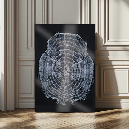 Monochrome tree ring cross-section on black background, showing detailed growth lines, perfect for modern rustic or minimalist interiors. (