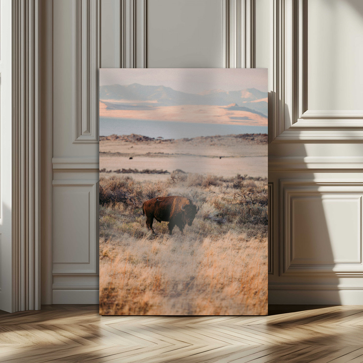 A solitary bison standing in golden prairie grass with distant mountains and soft sunset light, ideal for rustic, lodge, and western decor.