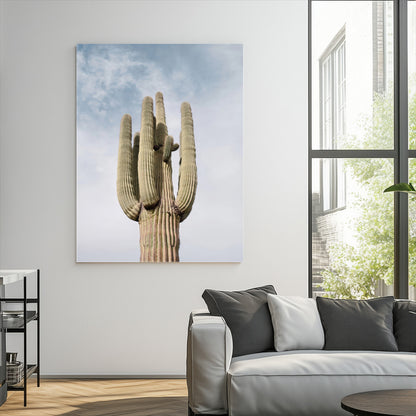 Vertical photo of a tall saguaro cactus against a soft sky, ideal for earthy or Southwestern home decor with warm neutral tones.