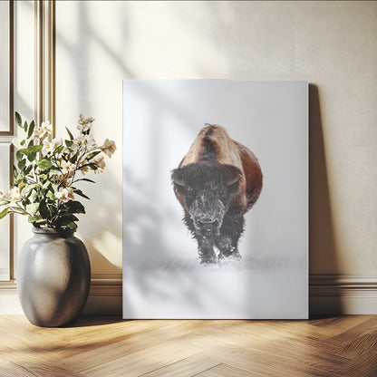 Front view of a strong bison walking in deep snow, isolated white background, perfect for rustic or lodge-style home decor.