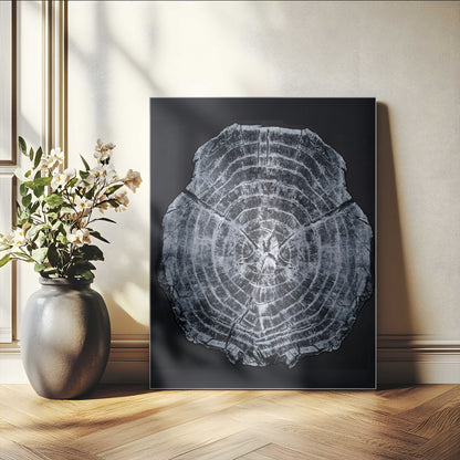 Monochrome tree ring cross-section on black background, showing detailed growth lines, perfect for modern rustic or minimalist interiors. (