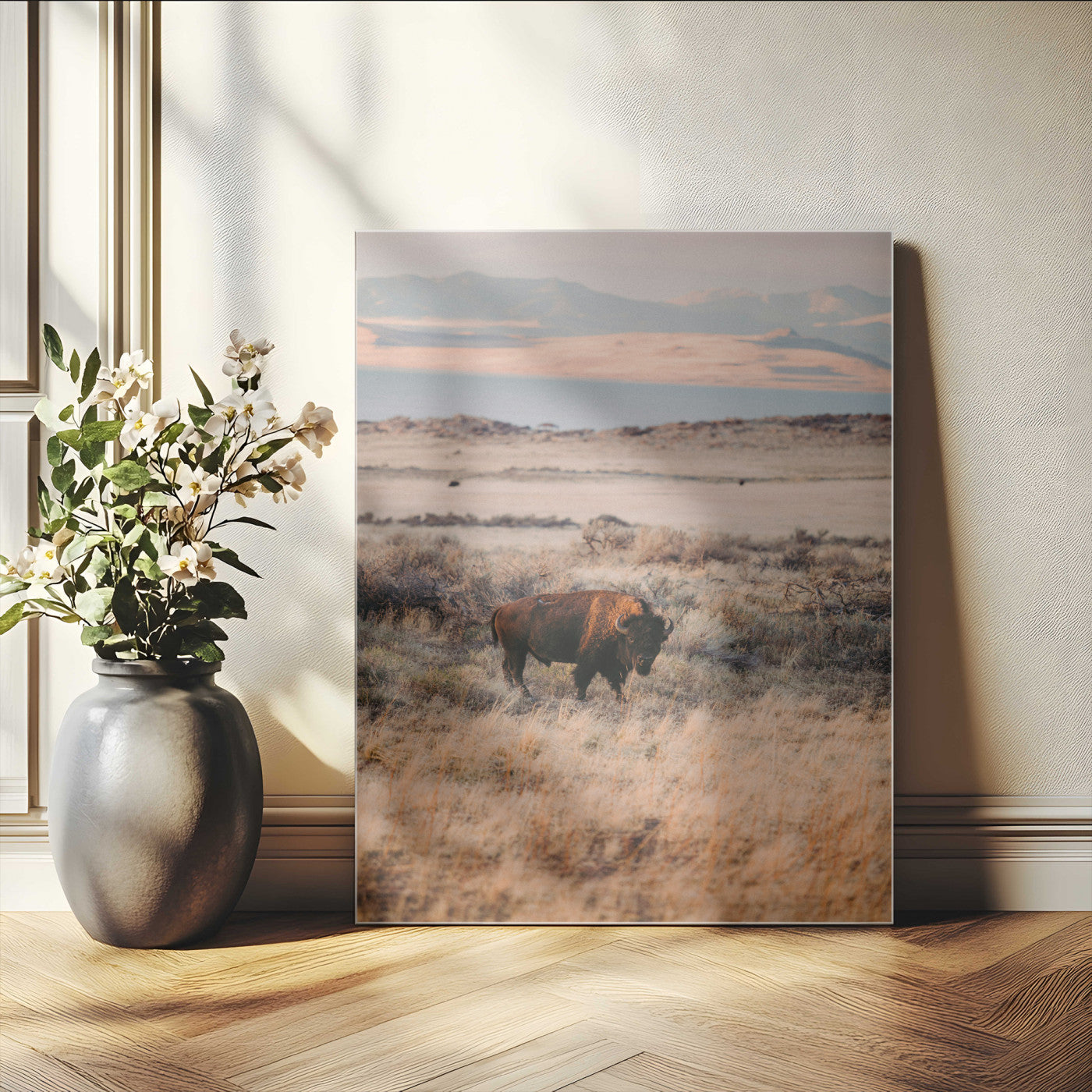 A solitary bison standing in golden prairie grass with distant mountains and soft sunset light, ideal for rustic, lodge, and western decor.