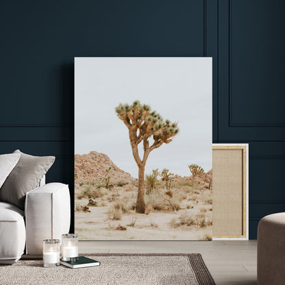 Canvas of a Joshua Tree in neutral desert tones under soft light, ideal for southwestern minimalist or rustic nature-inspired home decor.