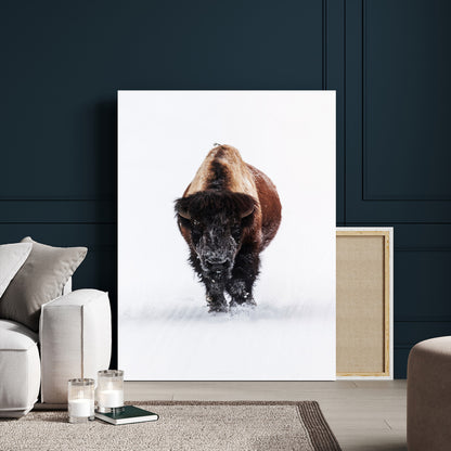 Front view of a strong bison walking in deep snow, isolated white background, perfect for rustic or lodge-style home decor.