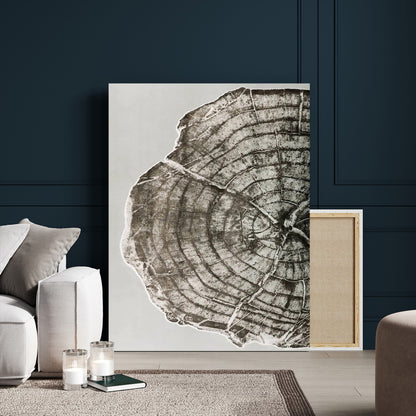 A close-up tree ring cross-section with neutral tones and organic texture, perfect for rustic, modern, or minimalist interior wall decor.