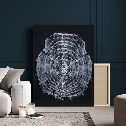 Monochrome tree ring cross-section on black background, showing detailed growth lines, perfect for modern rustic or minimalist interiors. (