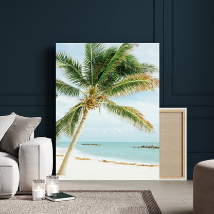 A tall palm tree leaning over a white sandy beach with turquoise ocean waves, creating a peaceful and tropical coastal scene.