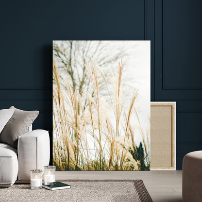 Soft beige pampas grass swaying in the breeze against a muted sky, creating a tranquil and minimalist botanical aesthetic.