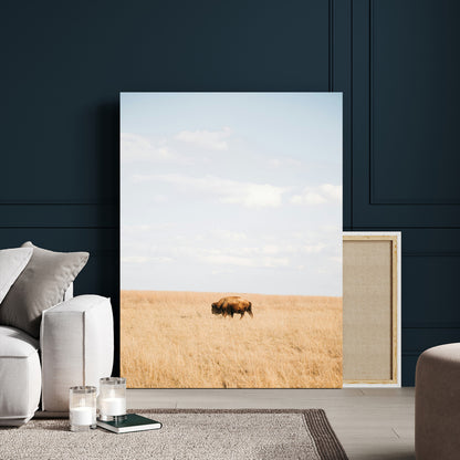 Minimalist Nature Wall Art Canvas Print, Framed Bison In Grassland Art Picture Print, Open Field Perfect Modern Ranch Decor Decor Artwork