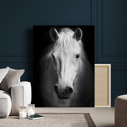 Large Wall Art White Horse on Black Background Canvas Print