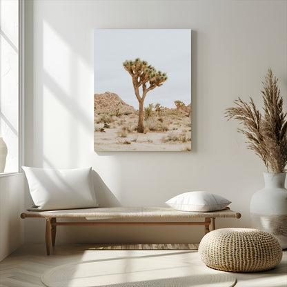 Canvas of a Joshua Tree in neutral desert tones under soft light, ideal for southwestern minimalist or rustic nature-inspired home decor.