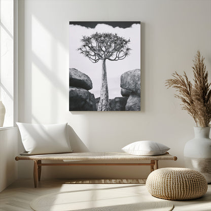 Tall desert tree in black and white, standing between large rocks, perfect for bold and minimalist nature-themed interior spaces.