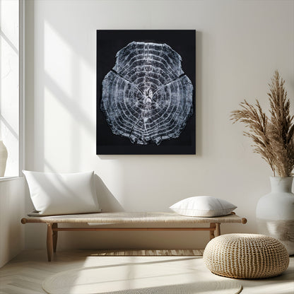 Monochrome tree ring cross-section on black background, showing detailed growth lines, perfect for modern rustic or minimalist interiors. (