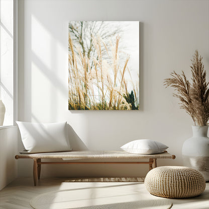 Soft beige pampas grass swaying in the breeze against a muted sky, creating a tranquil and minimalist botanical aesthetic.