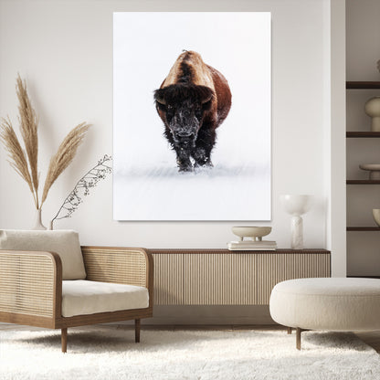 Front view of a strong bison walking in deep snow, isolated white background, perfect for rustic or lodge-style home decor.