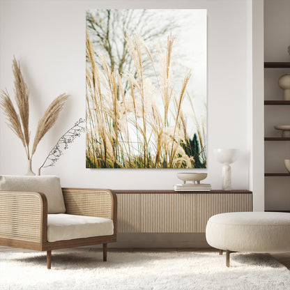 Soft beige pampas grass swaying in the breeze against a muted sky, creating a tranquil and minimalist botanical aesthetic.