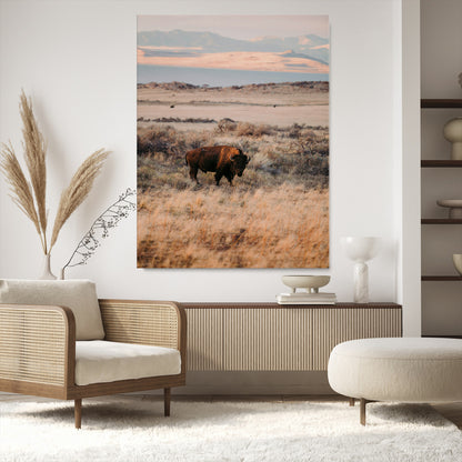 A solitary bison standing in golden prairie grass with distant mountains and soft sunset light, ideal for rustic, lodge, and western decor.