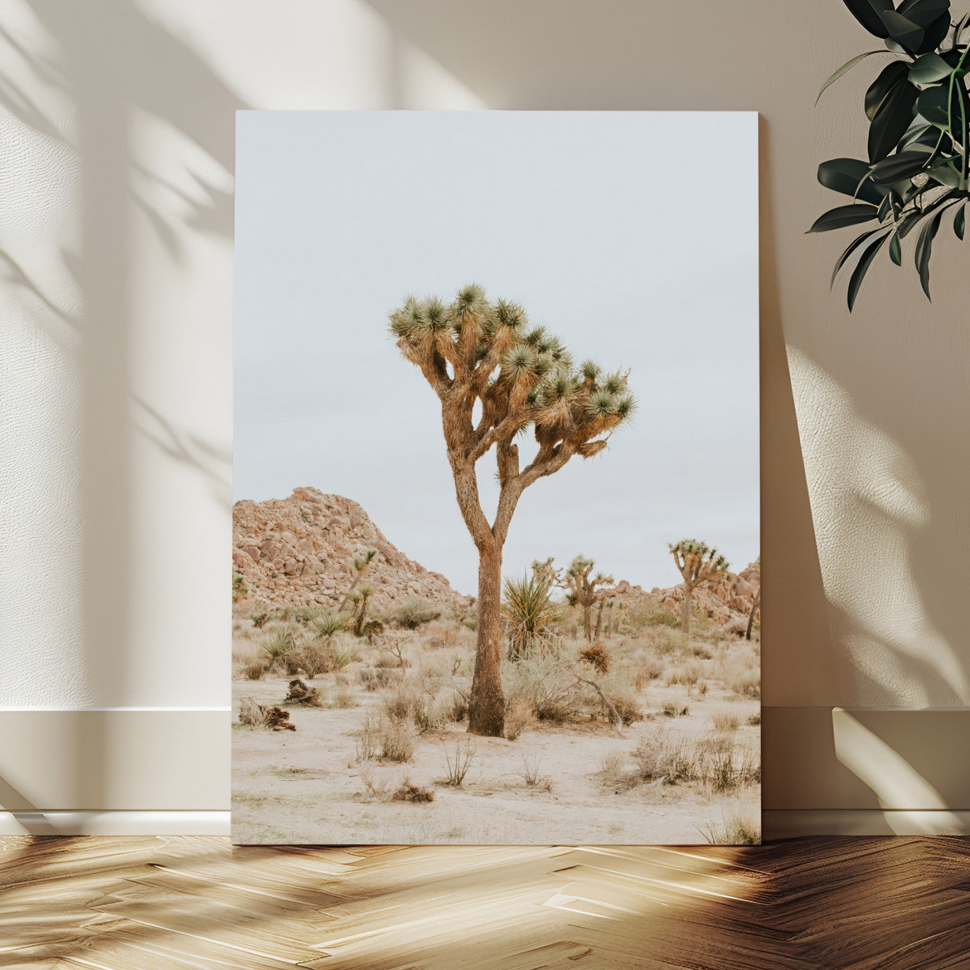 Canvas of a Joshua Tree in neutral desert tones under soft light, ideal for southwestern minimalist or rustic nature-inspired home decor.